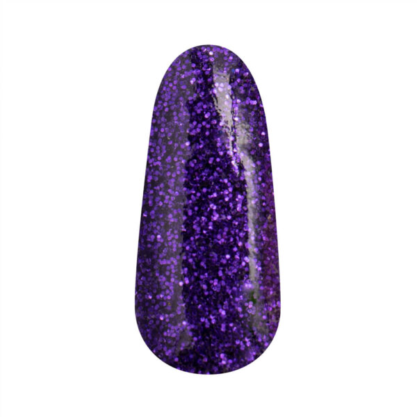 Color Acryl Shiny Pansy Purple 15 gr.