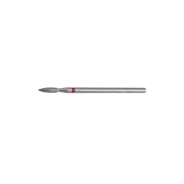 STALEKS Flame Bit R2