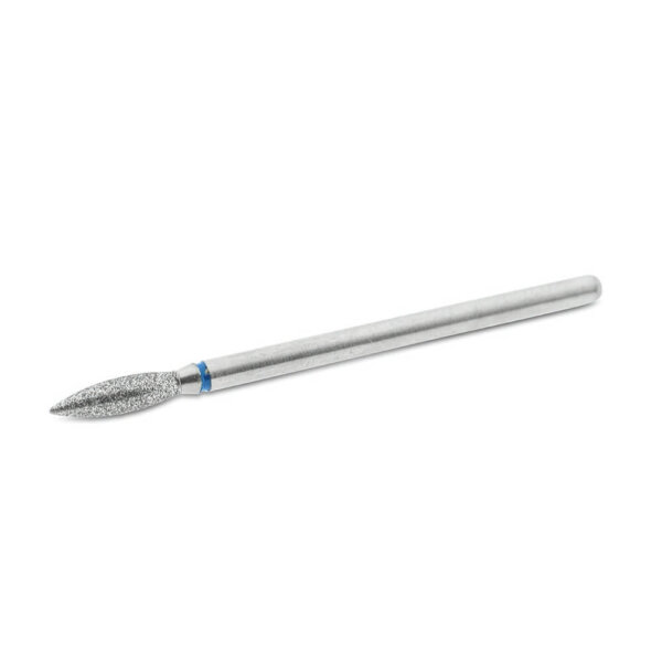 STALEKS Flame Bit B2