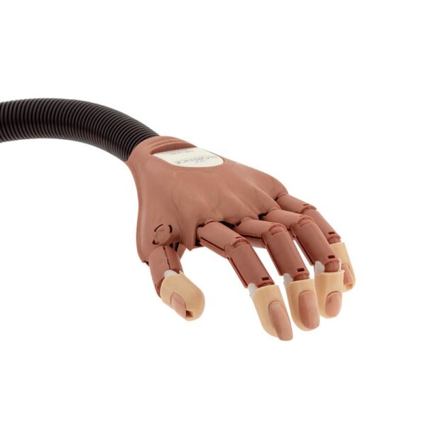 Nail Trainer